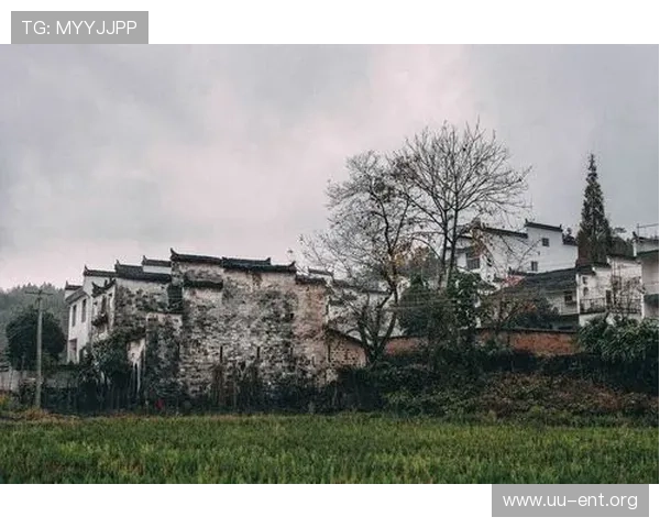 威尼斯网址娱乐平台如何利用优惠活动提升游戏胜率与收益